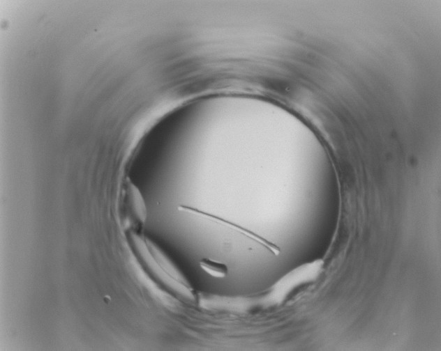 X0000089431379200707061333