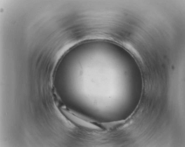 X0000089431380200707061333