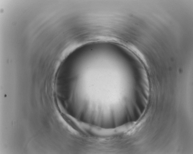 X0000089431381200707061333