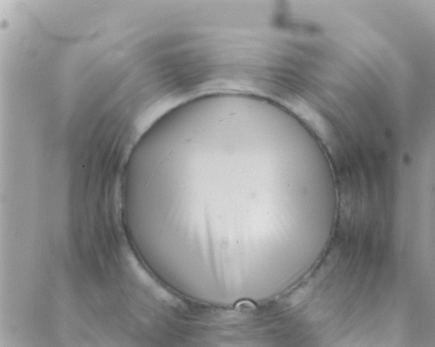 X0000089431382200707061333