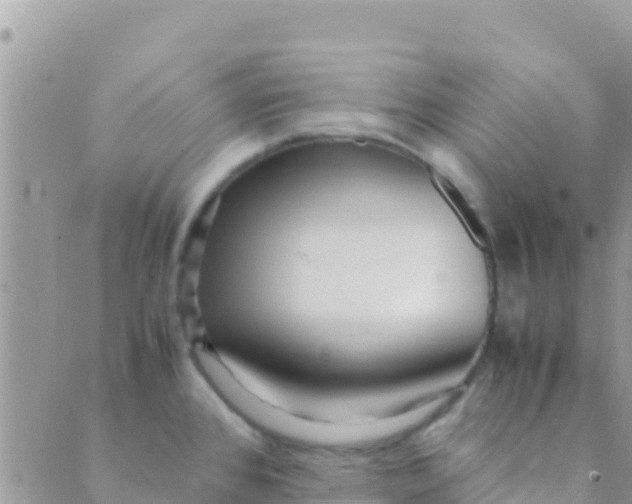 X0000089431384200707061333