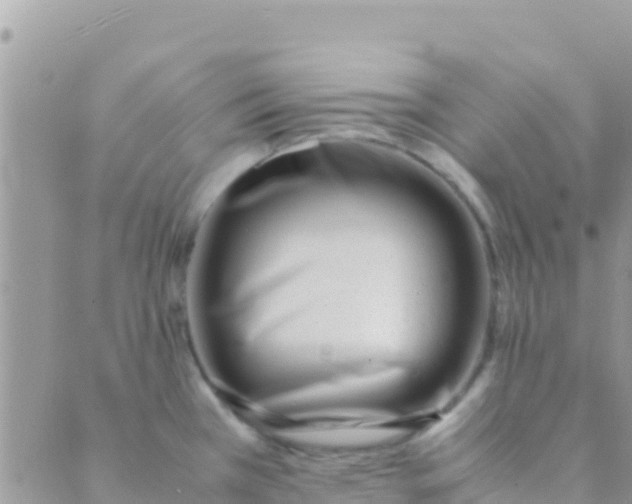 X0000089431385200707061333