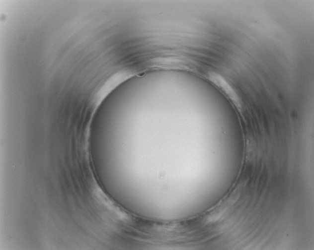 X0000089431386200707061333