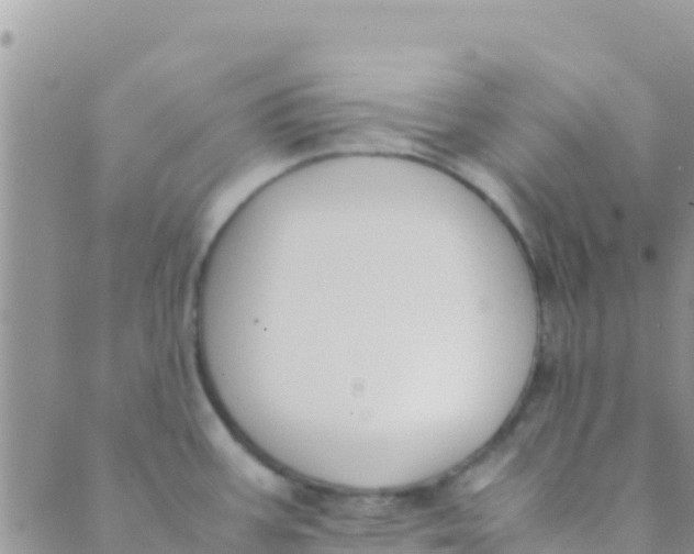 X0000089431387200707061333