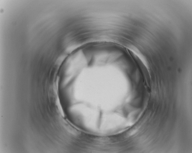 X0000089431388200707061333