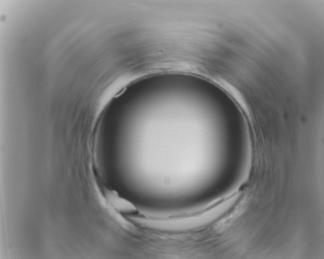 X0000089431389200707061333