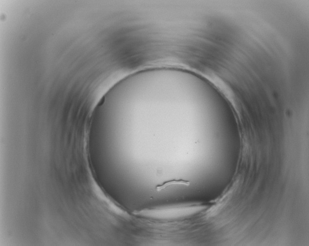 X0000089431390200707061333