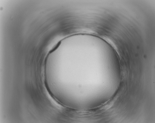 X0000089431391200707061333