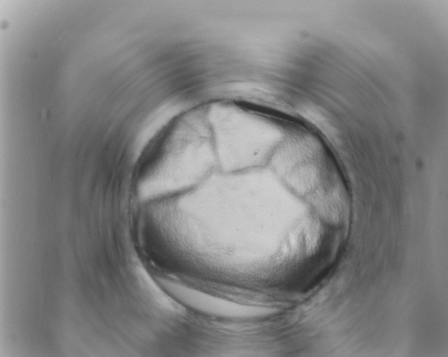 X0000089431392200707061333