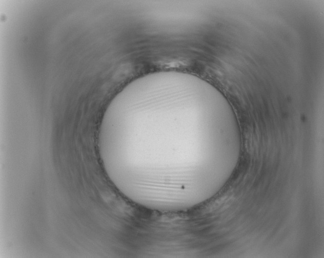 X0000089431393200707061332