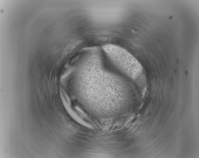 X0000089431394200707061332