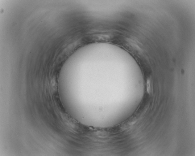 X0000089431395200707061332