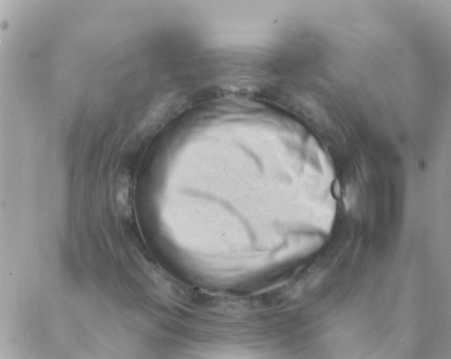 X0000089431396200707061332