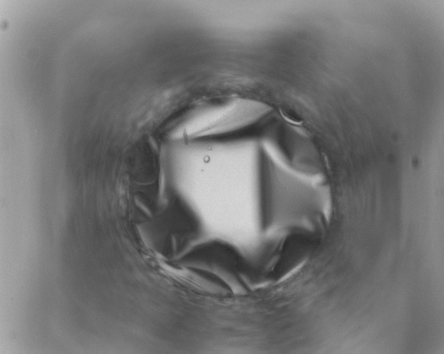 X0000089431397200707061332