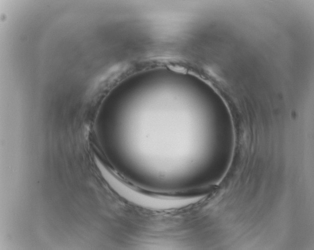 X0000089431398200707061332