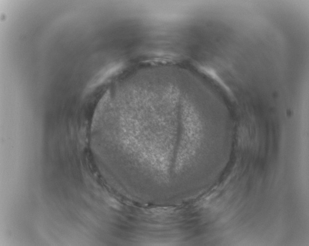 X0000089431399200707061332