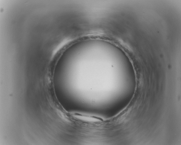 X0000089431400200707061332