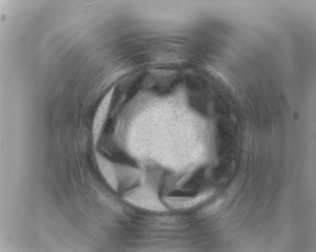 X0000089431401200707061332