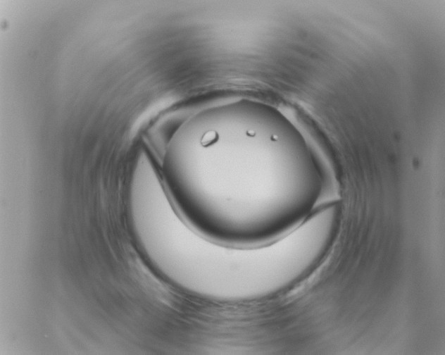 X0000089431402200707061332