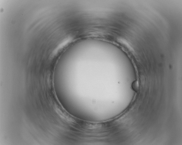 X0000089431403200707061332