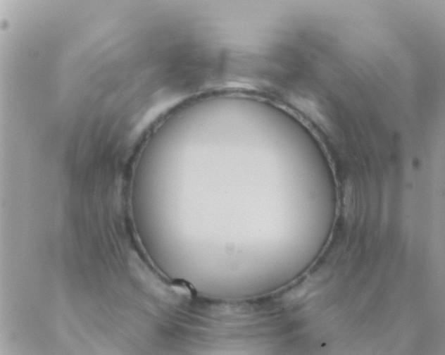 X0000089431404200707061332