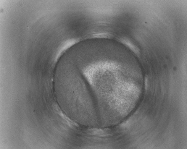 X0000089431405200707061332