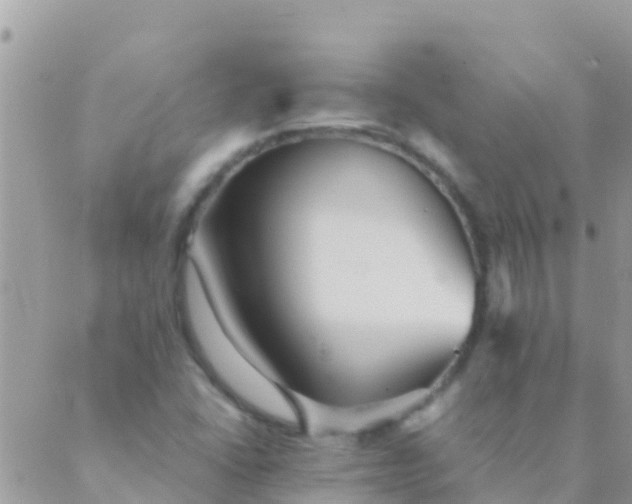 X0000089431406200707061332