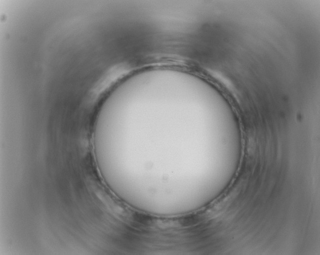 X0000089431407200707061332