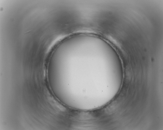 X0000089431408200707061332