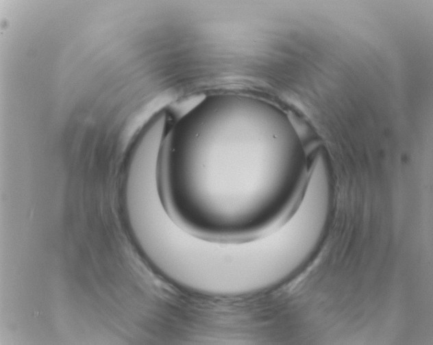 X0000089431410200707061332