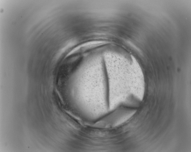 X0000089431411200707061332