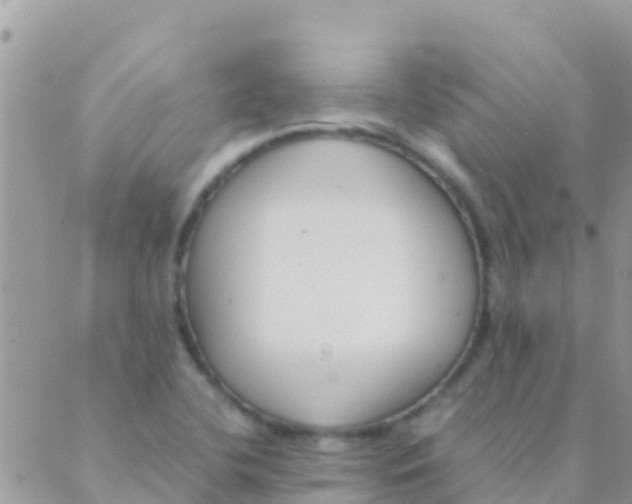 X0000089431412200707061332