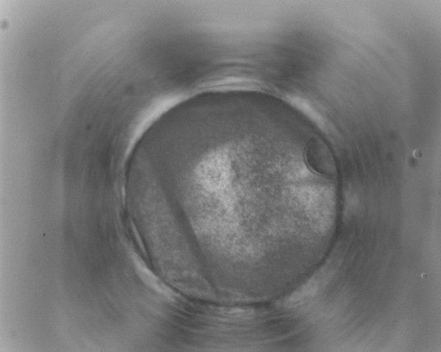 X0000089431413200707061332