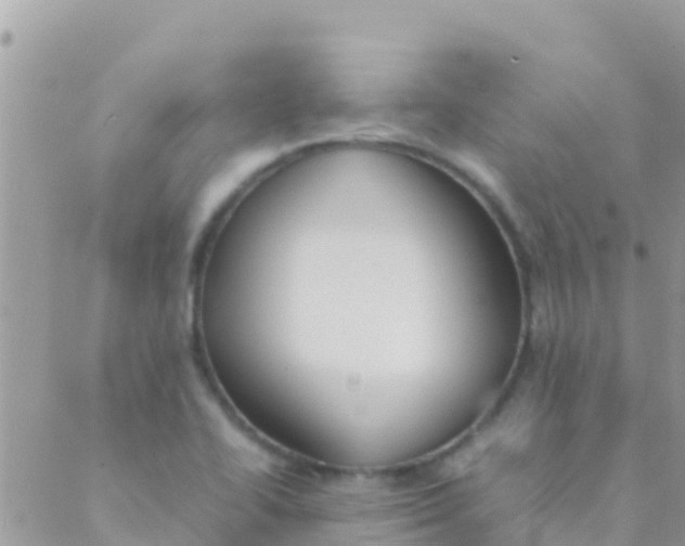 X0000089431414200707061332