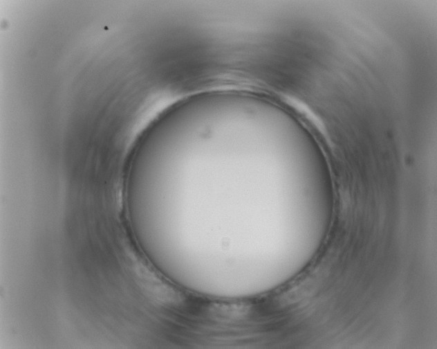 X0000089431415200707061332