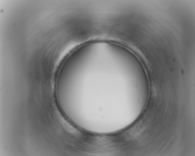 X0000089431416200707061332