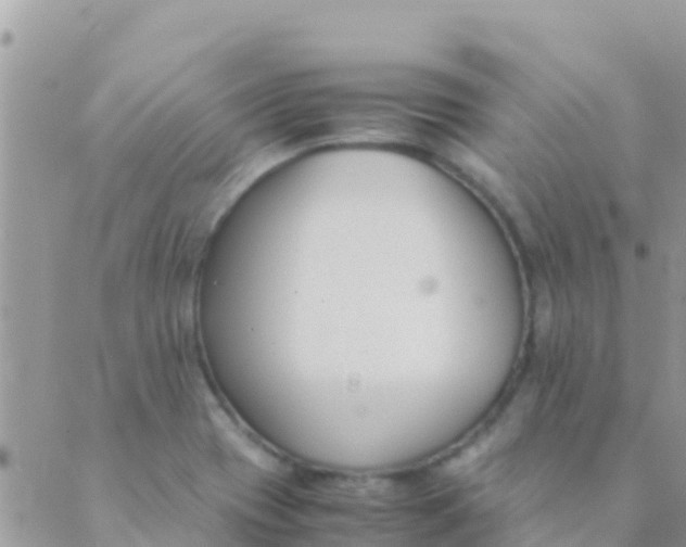 X0000089431417200707061332