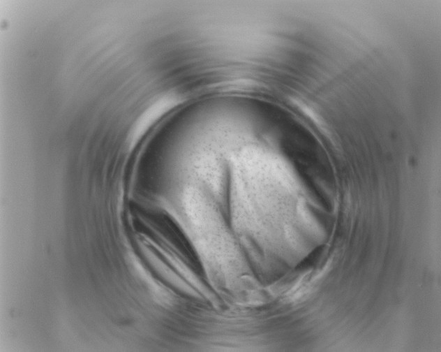 X0000089431418200707061332