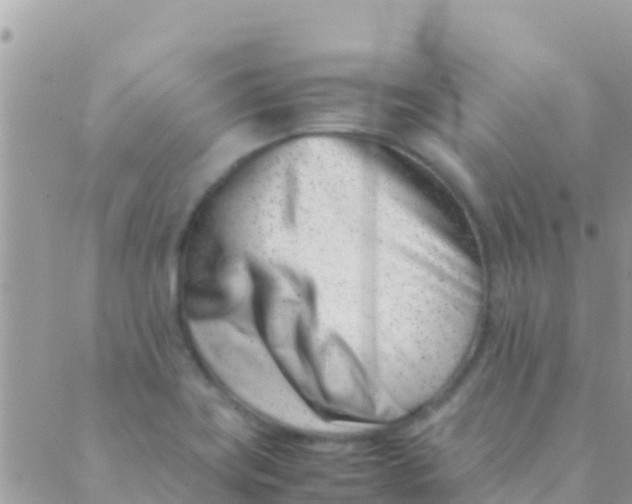 X0000089431419200707061332