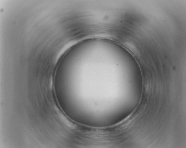 X0000089431420200707061332