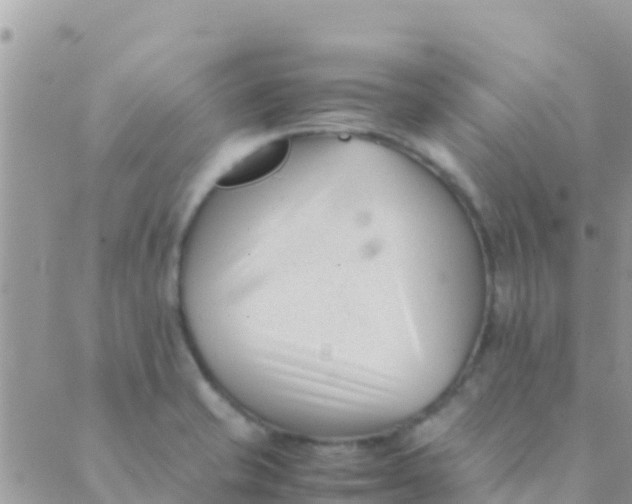 X0000089431421200707061332