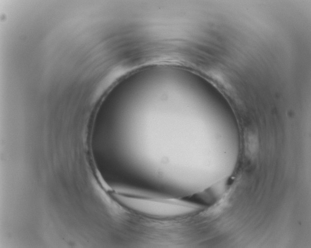 X0000089431422200707061332