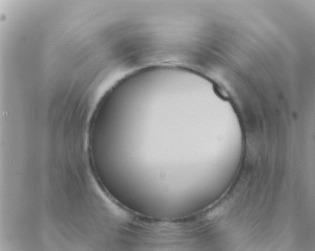 X0000089431424200707061332