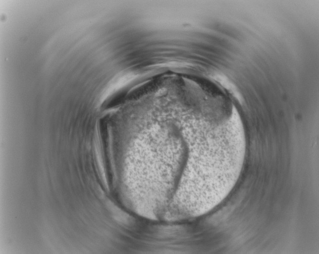 X0000089431425200707061332