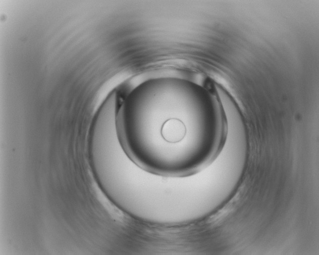 X0000089431426200707061332