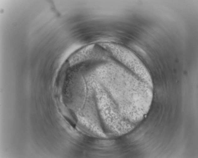 X0000089431427200707061332