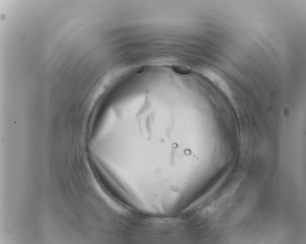 X0000089431429200707061332