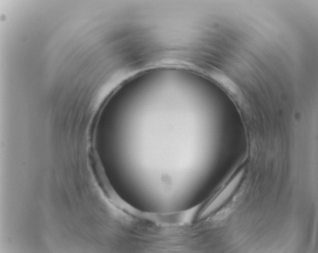 X0000089431430200707061332