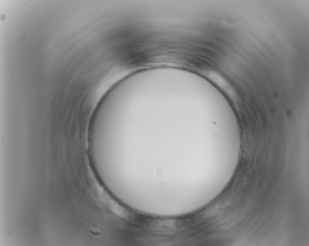 X0000089431431200707061332