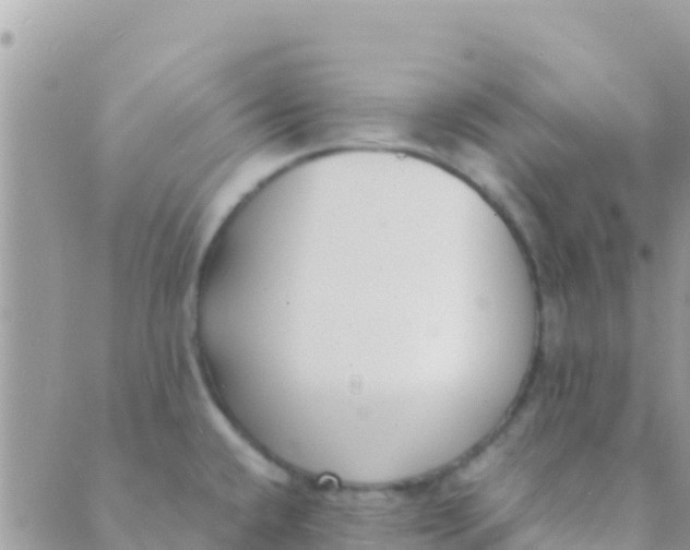 X0000089431432200707061332